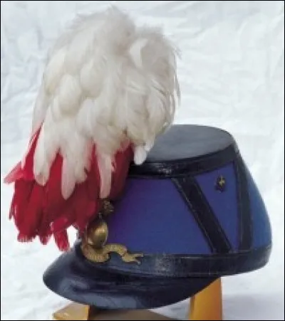 Quelle est l'origine des plumes du casque de Saint-Cyr ?