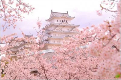 Dernière question, que penses-tu avoir comme résultat ?