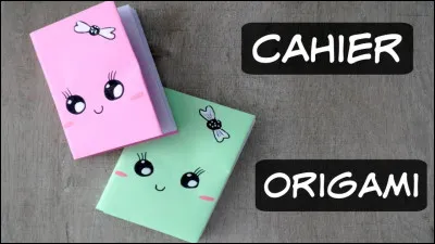 Niveau 2 - Je tue les gens grâce à un cahier.