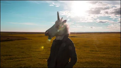 Tu arrives dans un monde rempli de licornes.
Quelle est ta réaction ?