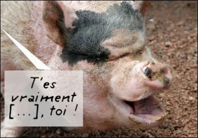 Oui, peut-être, mais les côtelettes...