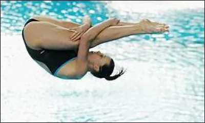 Sur lequel de ces continents ne trouve-t-on aucun plongeon ?