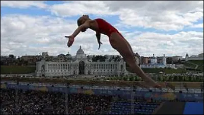 Lors de quelle &eacute;dition des JO le plongeon a-t-il &eacute;t&eacute; ajout&eacute; comme discipline olympique ?
