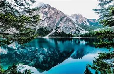 Quelle forme prennent les pupilles des seiches ?