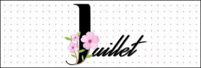 Combien y a-t-il de jours pendant le mois de juillet ?