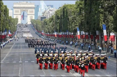 Le cortège est composé d'unités à pied, à cheval, à moto et en avion :