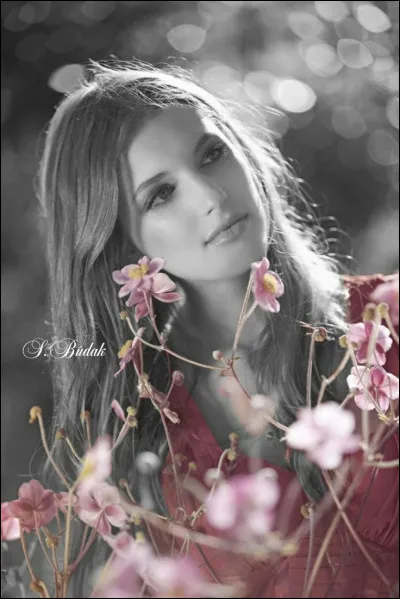 Qui chantait (il y a fort longtemps) "Faut pas pleurer comme ça, pleurer pour qui pour quoi ? Pour quelques souvenirs, pour quelques mots d'amour jetés dans une cour et qui s'en vont mourir..." ?