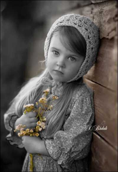 À quel écrivain doit-on "Chagrin d'école", uvre qui a obtenu le prix Renaudot ?