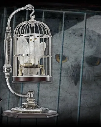 Quel animal pourrais-tu adopter ?