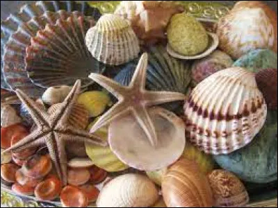 À qui doit-on les paroles suivante : "Sur la plage abandonnée/ Coquillages et crustacés" ?