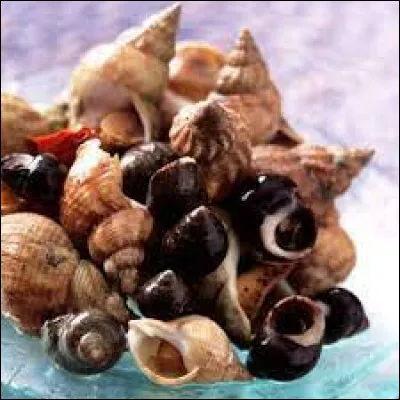 Quels sont les deux youtubeurs derrière la chaîne "Bigorneaux et Coquillages" ?