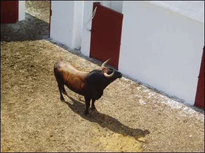Il a &eacute;galement d&eacute;crit un animal mangeur de chair humaine avec une triple rang&eacute;e de dents, un corps de lion et une queue de scorpion. C'&eacute;tait le...