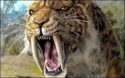 Je vous laisse réfléchir là-dessus : ...