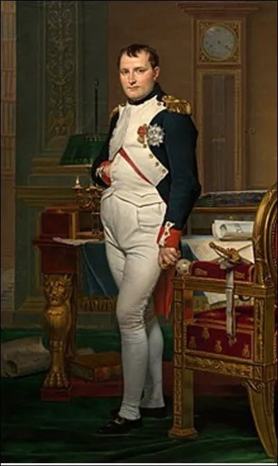 Que ne fut jamais Napoléon Bonaparte ?