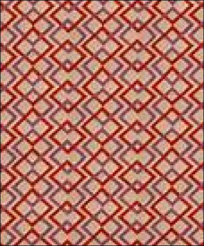 Comment le tapis utilisé en judo est-il appelé ?