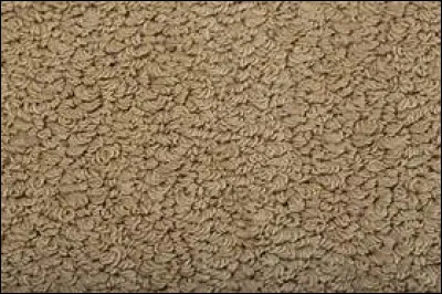 De quelle couleur est le tapis sur lequel marchent traditionnellement des invités de marque ?