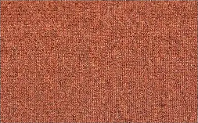 Lequel de ces termes désigne la moquette au Québec ?