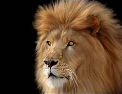 Que représente la sculpture "L'homme-lion" ?