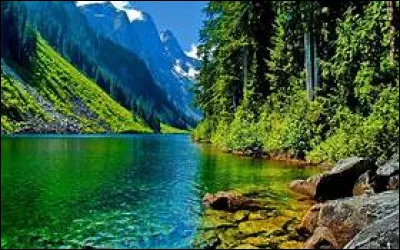 Si vous dissimulez la vérité, on parlera d'un mensonge par :