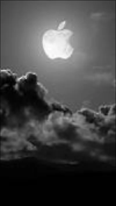 A qui Nino Ferrer disait-il que le téléphone sonnait ?