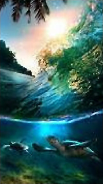 Cochez un synonyme d'appel :