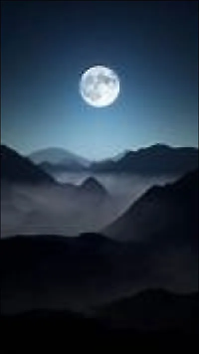 Quel personnage de la saga Harry Potter associe le téléphone à un canard en caoutchouc ?