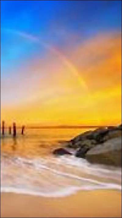 Quand le premier album de Téléfaune est-il sorti ?