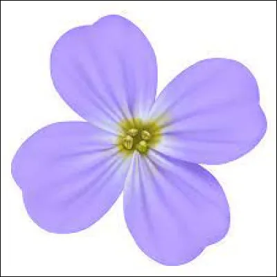 Comment dit-on "violet" ?