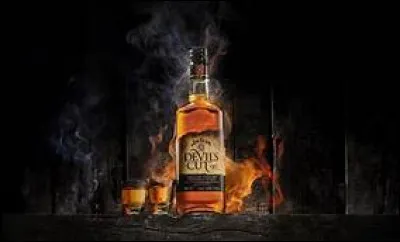 Comment appelle-t-on la maladie correspondant &agrave; l'addiction &agrave; l'alcool ?