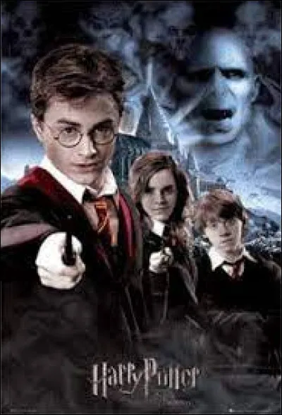 Quel est le premier sortilège que Harry apprend ?