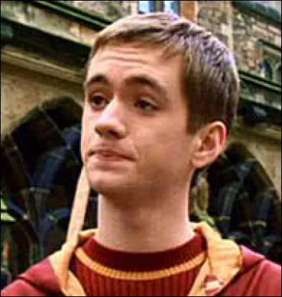 Qui est le capitaine de l'équipe de Quidditch Gryffondor ?