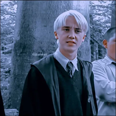Qui est Drago Malefoy ?