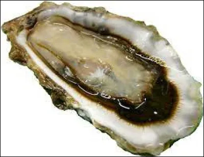 Quel est l'animal le plus souvent consomm&eacute; vivant ?