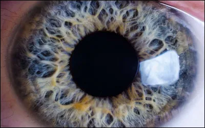 Te sens-tu observé ?