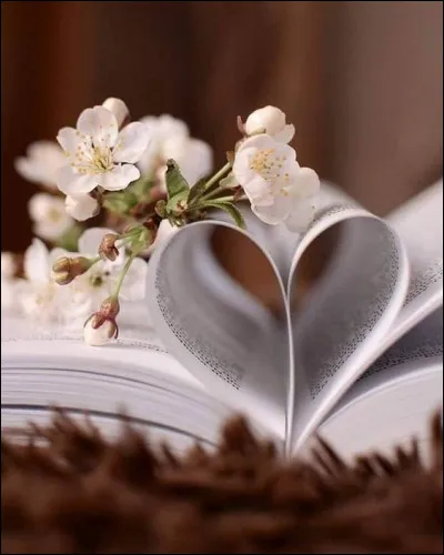 Splendeur : qui est l'écrivain de "Splendeurs et misères des courtisanes" ?