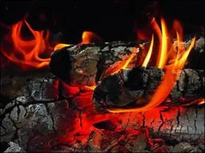 Quel candidat a été tué lors du Tournoi des Trois Sorciers en touchant la Coupe de Feu ?