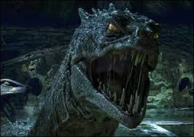 Comment Harry tue-t-il le serpent ?