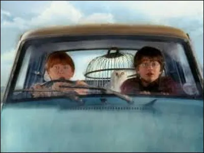 De quelle manière Harry se rend-il chez les Weasley ?