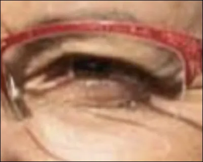 À qui appartient cet il ?