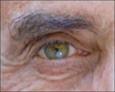 À qui appartient cet il ?