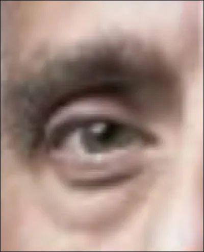 À qui appartient cet il ?