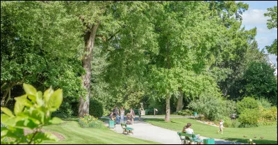 La ville d'Angers s'est spécialisée dans un domaine, lequel ?