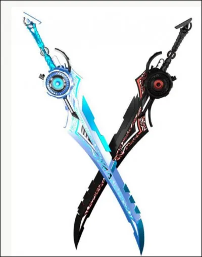 Je n'ai pas une mais deux épées et je me bats pour sortir de l'Aincrad. Qui suis-je ?