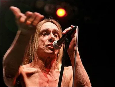 ''The Idiot'' est le premier album d'Iggy Pop. Quel est son surnom ?
