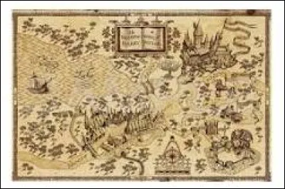 Qu'est-ce que Fred et George offre &agrave; Harry ?