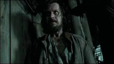 O&ugrave; Harry, Ron et Hermione rencontrent-ils pour la premi&egrave;re fois Sirius Black ?