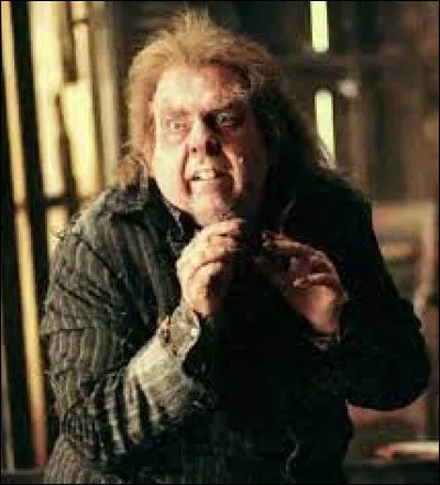 Quel est le vrai nom du rat de Ron ?