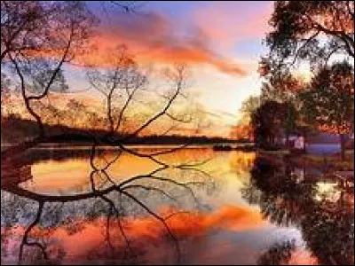 Le 1er ao&ucirc;t, de quoi est-ce la f&ecirc;te au Liban ?