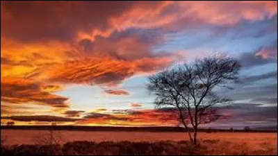 Quel roi de France est d&eacute;c&eacute;d&eacute; en ao&ucirc;t 1137 ?