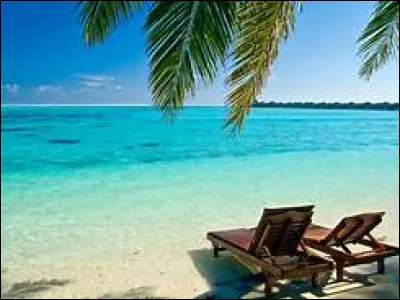 Qui était le meilleur ami du petit Nicolas dans "Les Vacances du petit Nicolas" ?